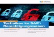 Techniken im SAP Berechtigungswesen · B-Feld FBTCH 77 B-Feld Mahnlauf 77 ... SAP-Help über Internet 71 SAP-Help-Seite 71 SAP-Support 57 SCC4 107 SCC7 80 SCC8 80 Schulungs-User 62