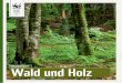 Wald und Holz - WWF Deutschland · bio Ethik PoWi Einführung Ursachen für die Bedrohung der Regenwälder kennenlernen, Bedeu- ... F4.2, F4.3, F7.1, S1.2 M1, H8, H11, U4 G2, G5,