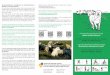 Herdenschutzhunde ermöglichen die Nutztierhaltung in ... · cartina in cui vengono indicate le zone dove sono utilizzati i cani. For more information about guardian dogs and a map
