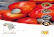Analysis of the Cashew Value Chain in Nigeria · ACi is implemented by the African Cashew Alliance (ACA), the German Development Cooperation GIZ, as a lead agen- ... Analysis of the