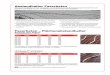 WG 1 2015 oPreise - kropfelder.de · 1 Faserbeton – Flächenabstandhalter Schlange ohne Noppen Herstellungslänge ca. 100 cm Bestell-Nr. Betondeck. Gewicht Stück/ Gewicht EUR/m