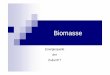 Biomasse - th.physik.uni-bonn.de · Übersicht Was ist Biomasse ? Wie kann man Sie nutzen ? Heutige Nutzung / Projekte Vor- & Nachteile Als Kraftstoff