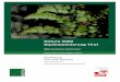 Natura 2000 Nachnominierung Tirol - | … · 2016-02-04 · 4.3 Identifikation von Kernhabitaten innerhalb des Gebietes ... (Alpen und Mittelgebirge) sowie kleine Teile in Skandinavien