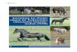 Beurteilung des Pferdes anhand der Traditionellen ...loeffler-heilpraxis.de/content/RTGP-Kapitel7.pdf · Die chinesische Medizin hat einen stark präventiven Charakter. Es ist üblich,