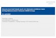 Warum man SAP Retail auch in 9 Monaten einführen …€¦ · SAP Best Practices anstatt Erweiterung/Modifikation der Software Einsatz eines Change Managers der ANWR-Group, ... TP