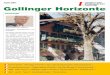 April 2007 Gollinger Horizonte - 2008.oevp-sbg.at2008.oevp-sbg.at/fileadmin/Bezirke/Tennengau/Gemeindezeitungen/... · hauptfrau Mag. Gabi Burgstaller und Landeshauptmannstellvertreter