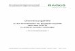 Bundesarbeitsgemeinschaft BAGüS - bagues.de · Orientierungshilfe zu den Schnittstellen der EinglH zu anderen Leistungen Stand 24.11.2009 Seite 2 von 46 Gliederung I. Grundsätze