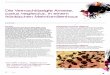 Die Vernachlässigte Ameise, Lasius neglectus, in …schaedlingsbiologie.de/files/content/downloads/Ameise_Lasius... · April 12 |21 Die Vernachlässigte Ameise, Lasius neglectus
