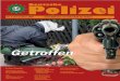 Nr.12 Dezember 2005 Zeitschrift der Gewerkschaft der … · minalität, Steuerhinterziehung, illegaler Beschäftigung und ge-werbsmäßiger Schwarzarbeit in Deutschland nur halbherzig