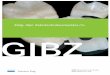 Eidg. dipl. Zahntechnikermeister/in GIBZ · stimmung und Farbgebung in der Zahntechnik | Farbmessung und Bestimmung von Farbeffekten im natürlichen Zahn mit konventionellen und elektronischen