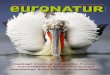 Heft 3/2013 - EuroNatur: Naturschutz in Europa … · 2016-01-25 · 10-13). Darin benennt er auch klar, ... Band Europa“ par excellence und damit ein wertvoller Teil ... Männer