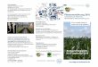 Pflanzenernährung 2016 - DGP-Tagung 2016 · Pflanzenernährung 2016 Jahrestagung der Deutschen Gesellschaft für Pflanzenernährung e.V. Stuttgart-Hohenheim, 28-30 September 2016