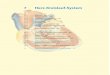 7 Herz-Kreislauf-System - bilder.buecher.de · 7.3 Makroskopische Anatomie des Gefäßsystems 311 7.3.1 Arterien des Körperstamms 311 ... Herz (Cor) · Kapitel 7 · Herz-Kreislauf-System