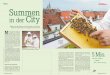 Natur Summen in der City - Die Initiative - München … · achs erschlossen lügelschlagen ocken en ... Illustrationen: W&B/Dr. Ulrike Möhle Die intensiv betriebene Landwirtschaft