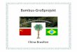 China-Brasilien - isomax-terrasol.eu · Vorbereitung zur Industrialisierung in Brasilien mit chinesischen Bambus-Fachbetrieben als joint-venture mit brasilianischen Investoren zur