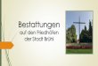 Bestattungskultur in der Stadt Brühl · Insbesondere die Zunahme der Zahl der pflegefreien Gräber deutet auf den Wandel in der Gesellschaft hin. Viele Kinder wohnen von den Eltern