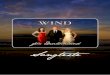 Songtexte - Albumplayer Gruppe WIND Lass den …gruppewind.de/assets/wind---fuer-deutschland---songtexte.pdf · Dann sing‘ ich nur für dich dieses Lied ... Du bist das Licht, 