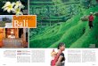 Balidata.tele.ch/files/TELE_Bali.pdf · Sprache. Und die gibt’s praktisch nicht. ... Natur. Ideal für Flitterwochen, den Urlaub ... 3. Tag: Das typische Bali