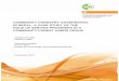 COMMUNITY FORESTRY GOVERNANCE IN NEPAL: …wpr.boku.ac.at/wpr_dp/DP-34-2007.pdf · Ressourcen, dem Zeitmanagement und einer entsprechenden technischen Unterstützung im Waldmanagement