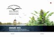 KATALOG 2016 - dutch-passion.com Catalogus 2016 small.pdf · Inhalt Willkommen bei Dutch Passion 3 Verpackung und Lagerung 3 Normale, feminisierte und AutoFem-Samen 3 Cannabinoide