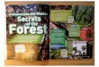 Wald1 - juno wortbuero | Julia Nolte Journalistin · Auflösungen aller Rätsel auf Seite 43. What Makes a Forest? Wann ist ein Wald ein Wald? Wenn 20 Bäume in einer Gruppe zusammen-