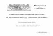 Regierung der Oberpfalz · RAS-L Richtlinien für die Anlage von ... UVPVwV Verwaltungsvorschriften vom 18.09.1995 zur Ausführung d. ... Anhang 1: Verkehrsuntersuchung St 2151 vom