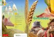 Inhalt Getreide: Adrian Brügger Korn Brot Peter Keusch ... · welches als Nebenprodukt bei der Ernte anfällt, Schnecken von den Erdbeeren fern . Getreide will umsorgt sein Der Getreidebauer