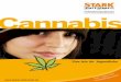 Cannabis - Ginko Stiftung für Prävention · 3 Als Rauschmittel wird Cannabis üblicherweise in Form von Marihuana und Haschisch gehandelt. ... wird, muss mit körperlichen Folgen