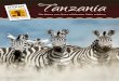 Tanzania - africangreenland.com · Ausblicke in den Ngorongoro Krater, auf Akazienbäume kletternde Löwen im Ndutu Nationalpark und riesige Herden und ... lebender Tiere ausserhalb