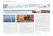 Recycling in der Photovoltaik - Bayern Innovativbayern-innovativ.de/berichte/newsletter/cluster_januar2011.pdf · • Präsentation von Ergebnissen des Arbeitskreises „Risikomanagement“