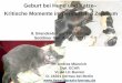 Geburt bei Hund und Katze Kritische Momente im … indiziert bei Gefahr für das Leben der Mutter (Gestose…) 8. Brandenburger Tierärztetag 2017 Beispielbild Geburtshilfe Konservativ
