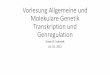 Vorlesung Allgemeine und Molekulare Genetik …molgen.biologie.uni-mainz.de/Downloads/PDFs/GrundVL_2014_4_Gen... · Vorlesung Allgemeine und Molekulare Genetik Transkription und Genregulation