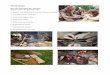 Workshops - archaicskills.comarchaicskills.com/images/werner/pdf/Workshops... · Bogen- und Pfeile bauen nur mit Messer und Beil 2. Flintkloppen für Anfänger 3. Archaische Jagdwaffen
