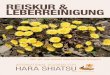 REISKUR & LEBERREINIGUNG - Hara Shiatsu · Der kontinuierliche Aufbau und die Ausscheidung sind der Kreislauf des Lebens, wie Ebbe und Flut, wie das Ein- und Ausatmen. ... Zyklen