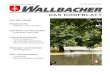 DAS DORFBLATT - derwallbacher.chderwallbacher.ch/wsb/data/documents/wallbacher66_kl.pdf · Es ist ein schöner, obwohl wet-termässig düsterer Frühlings-Vormittag. Nebeldunst umhüllt