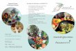 Naturkraft selbst erleben - amaranthi-vitalkostschule.de · Anleitung & Rezepte Was bieten die Workshops von AMARANTHI? • eine fachliche Einführung in das Thema und ausführliche