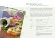 Wildkräuter-Kurs - xn--ericabnziger-lcb.chericabänziger.ch/media/WildkrauterKurs.pdf · Sie bestimmen zusammen mit Erica Bänziger, Kochbuchautorin eines Wildkräuter- Kochbuches,