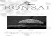 Bonsai · Bonsai B l a t t Der Bonsaigruppe BoDensee ... auf Bild 1 ist die zukünftige Vorderseite des Baumes zu sehen mit einer Höhe von 68 cm. ... nige und die Technik der gestaltung