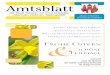 Amtsblatt - .2018-03-09  Der Gesamtbetrag der Verpflichtungserm¤chtigungen zur Leis - ... Stadtratssitzung