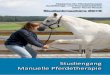 Studiengang Manuelle Pferdetherapie · praktik und Physiotherapie vereinen. Die therapeutischen Maßnahmen beziehen sich ausschließlich auf strukturelle Techniken und sind somit