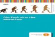 Die Evolution des Menschen - FWUdbbm.fwu.de/fwu-db/presto-image/beihefte/55/011/5501113.pdf · entscheidendes Merkmal des heutigen Menschen: den aufrechten Gang. Vor etwa zwei Millionen