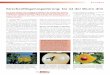 Kirschenfliegenregulierung: Da ist der Wurm drinorgprints.org/2578/1/daniel-2003-Kirschenfliege-Bioaktuell.pdf · Die gelbe Leimfalle «Rebell» wirkt für Kirsch-enfliegen optisch