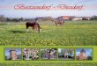 Beetzendorf – Diesdorf - total-lokal.de · same Einrichtung ihrer 25 Mitgliedsgemeinden mit ca. 13.650 Ein-wohnern, liegt in einer landschaftlich sehr reizvollen Umgebung ... bis