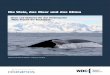 Die Wale, das Meer und das Klima - wdcs.org · Wie aber können wir bei den kleinen Menschen, die noch keine Vorstellung von Klimamodellen, ... Als Einstieg für das Projekt schlagen