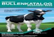 Holstein BULLENKATALOG - Herzlich Willkommen | … · 2012-12-14 · 6 Bullen RZG >150; 12 Bullen RZG >145! ... höchste gesexte Bulle! Neben den bewährten Bullen ARMSTRONG, GERVASE,