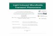 Light-Induced Microfluidic Transport Phenomena - thesis_SN.   Light-Induced Microfluidic