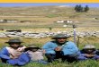 2 3 - welthungerhilfe-americadelsur.org€¦ · En el curso del programa el glosario se constituyó en un instrumen- ... Cajamarca Baños del Inca, La Encañada San Marcos Pedro Gálvez,