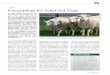 b Praxis-Management - tgd Startseite · KTP 24 (2016): 61 Ein übermäßiges Anwachsen des Klauenhorns bei Schafen und Zie-gen ist bei reiner Weidehaltung und regelmäßigem Umtrieb