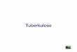 11 Tuberkulose Teil 1 Internet - patho.vetmed.uni-muenchen.de · Tierseuchenrecht (2): Verordnung über meldepflichtige Tierkrankheiten (09.11.2004) Anlage zu § 1 Meldepflichtige