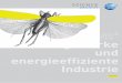 Orthoptera leistungsstarke und energieeffiziente Industrie · entwickelt und ist grundsätzlich bereits im industri-ellen Maßstab erprobt (Güssing 8 MW, Oberwart ... separator PG